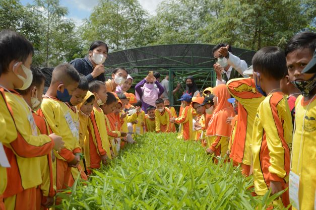 Kunjungan PAUD RA Baitul Ulum Kalianda Ke Prodi Produksi Tanaman Pangan Bersama Prodi Perjalanan Wisata